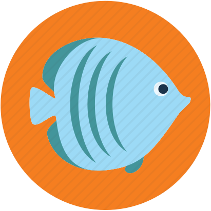 Рыбы Евпаторийского Аквариума